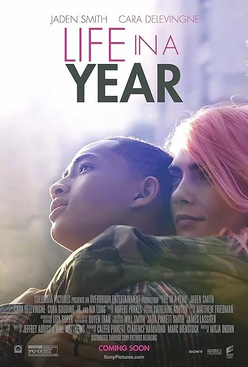 Life in a Year film posteri